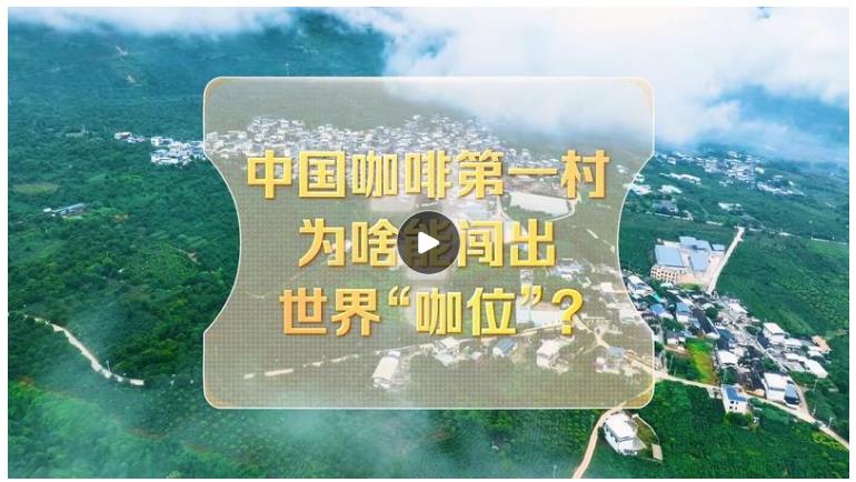 改革者 正青春｜中国咖啡第一村为啥能闯出世界“咖位”？