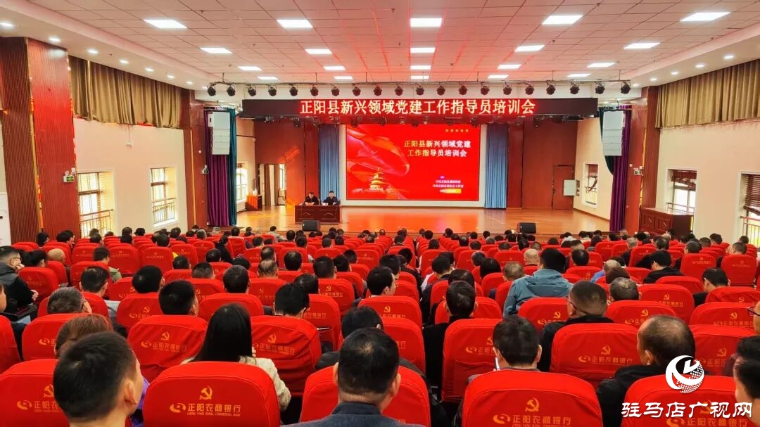 正阳县举办新兴领域党建工作指导员培训会