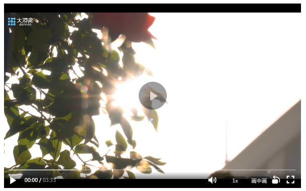 当代码遇见善意 一个功能让他们成为230城的“隐形守护者”‌