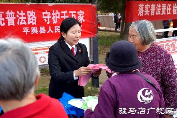 平舆县人民法院:让“法治”走到人民群众身边
