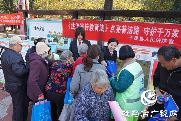 平舆县人民法院：让“法治”走到人民群众身边