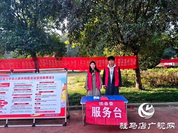 共青团平舆县委开展2025年法治教育宣传活动