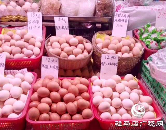 鸡蛋价格差异大 普通蛋与特色蛋有何不同？