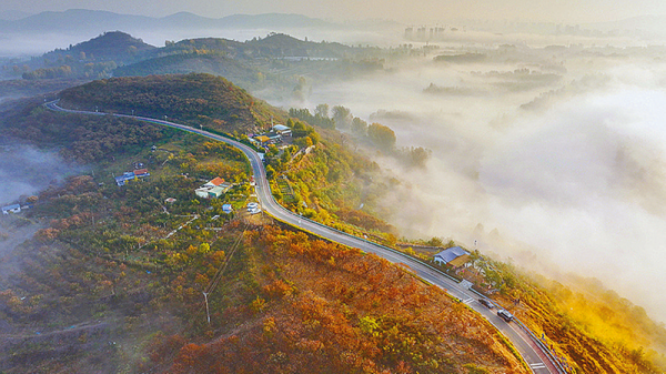 立冬将至 秋韵未央