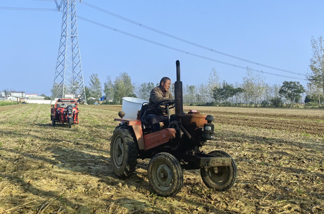 驿城区：农技服务沉一线 秋播麦田“底气足”