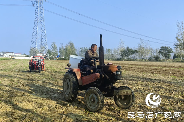 驿城区：农技服务沉一线 秋播麦田“底气足”