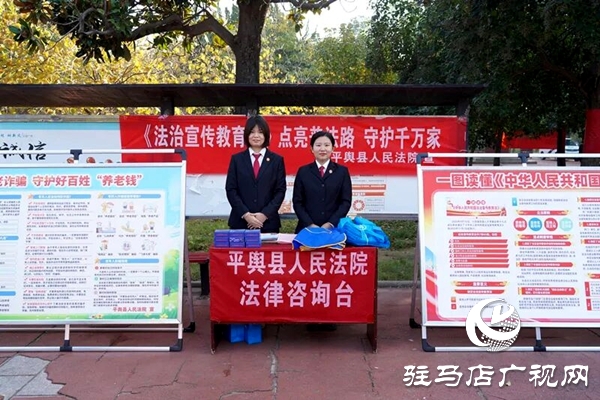 平舆县人民法院:让“法治”走到人民群众身边