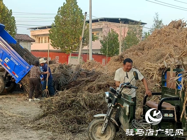 平舆县民政局结对帮扶东和店镇高庄村持续做好秸秆禁烧清运工作