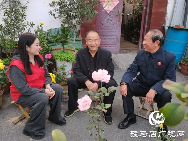  ​​​​​驿城区西园街道文明路社区：巾帼暖心护夕阳 筑牢社区养老服务网