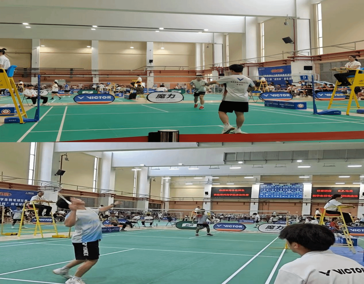  喜报！驻马店职业技术学院在2025年河南省多项体育赛事中再创佳绩