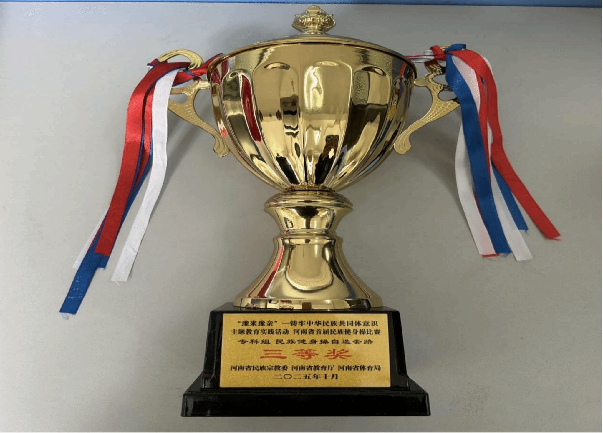  喜报！驻马店职业技术学院在2025年河南省多项体育赛事中再创佳绩