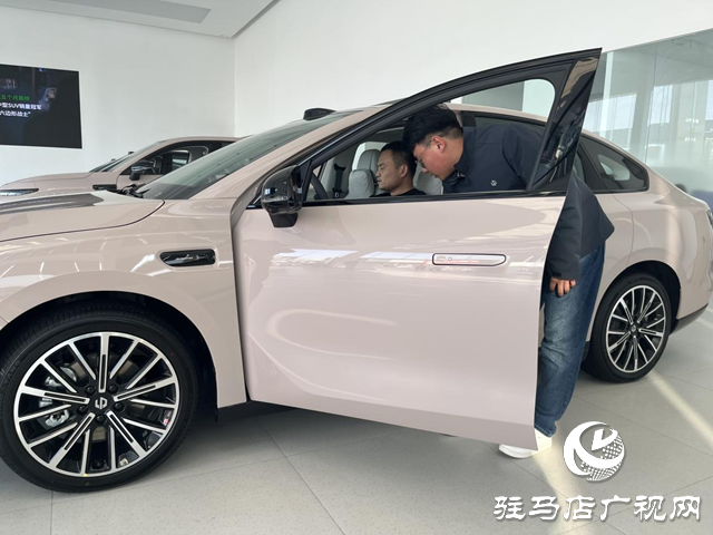 驻马店：新能源汽车市场持续火热 政策技术双轮驱动消费增长