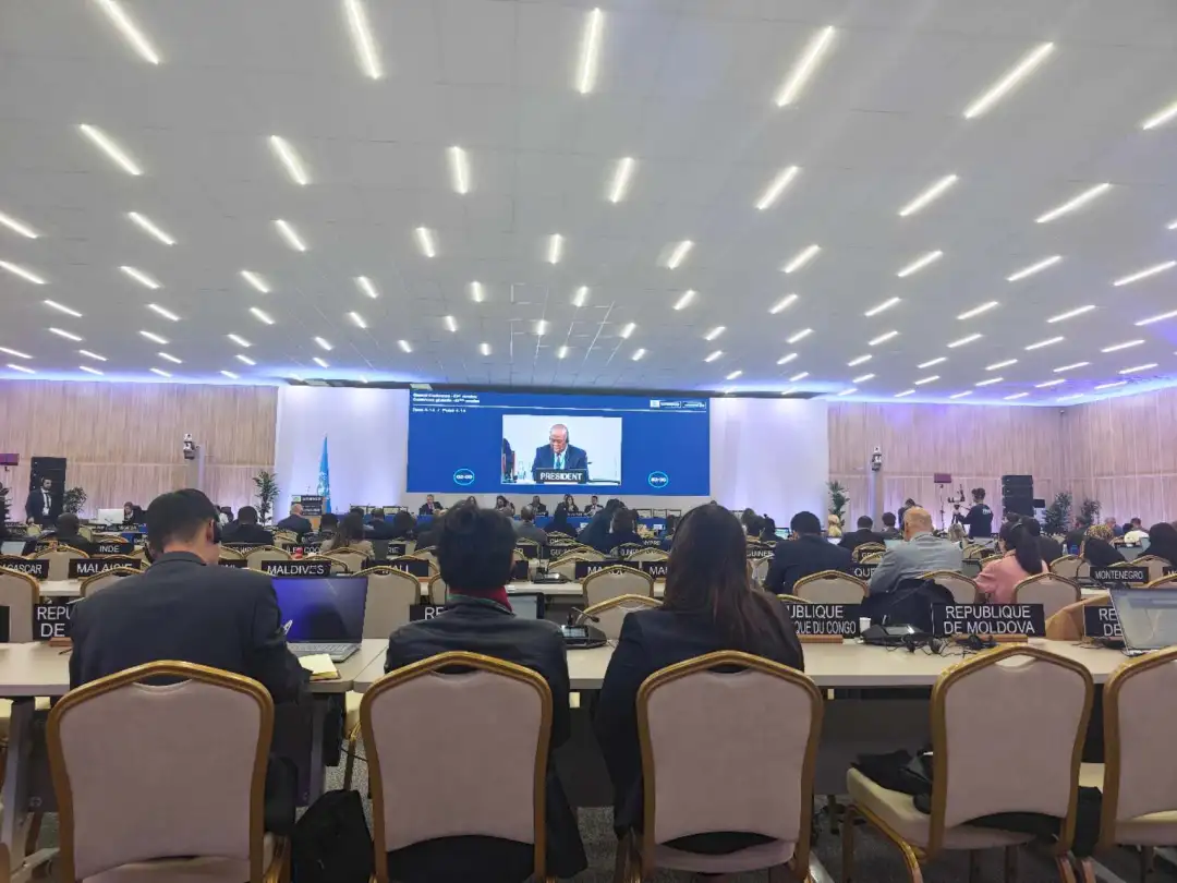 全球首个!每年3月21日,正式设立→