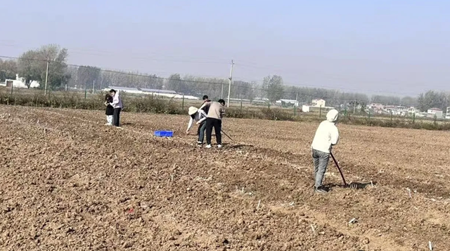 晚播小麦如何保丰收？平舆县农技专家开出四剂“良方”