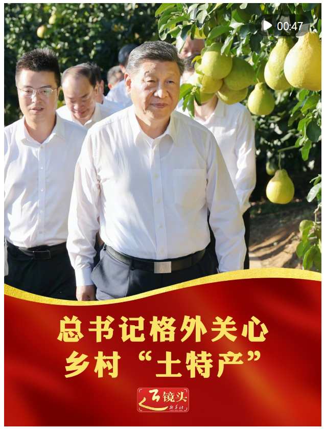 近镜头｜总书记格外关心乡村“土特产”