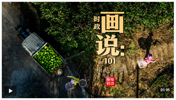 时政画说丨柚见丰年