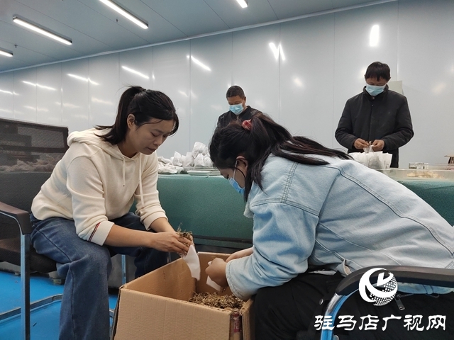 驻马店艾多多生物科技有限公司:全力备战双十一 满格状态迎战销售旺季