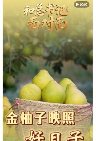 和总书记面对面｜金柚子映照好日子
