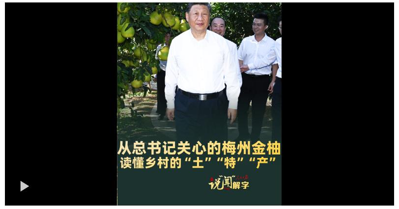 说“闻”解字·从总书记关心的梅州金柚，读懂乡村的“土”“特”“产”