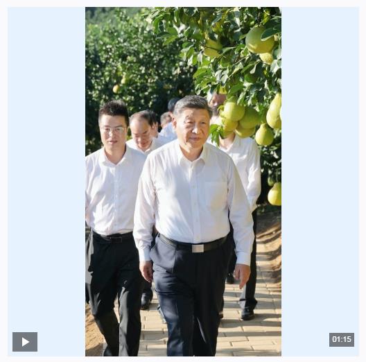 独家视频丨总书记关心的“土特产” 捧起乡村振兴的“金饭碗”