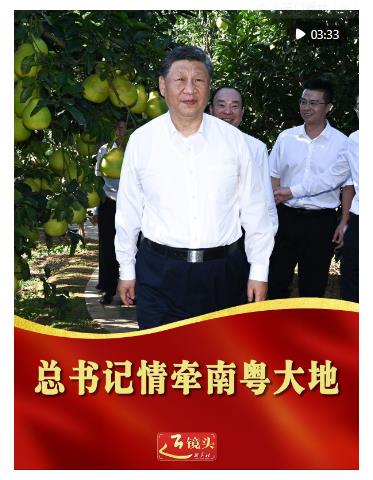 近镜头｜总书记情牵南粤大地