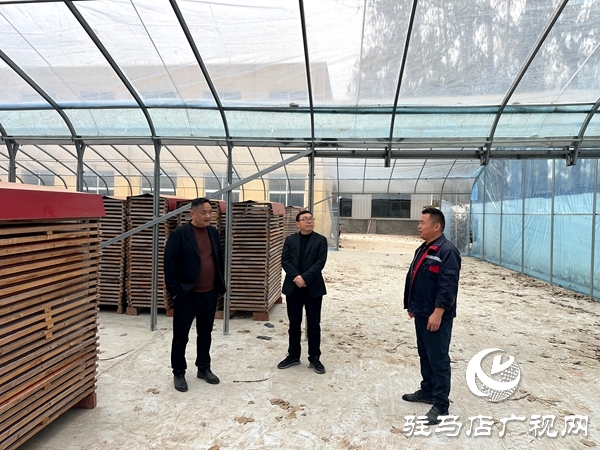 平舆县射桥镇：持续优化营商环境 服务企业做大做强