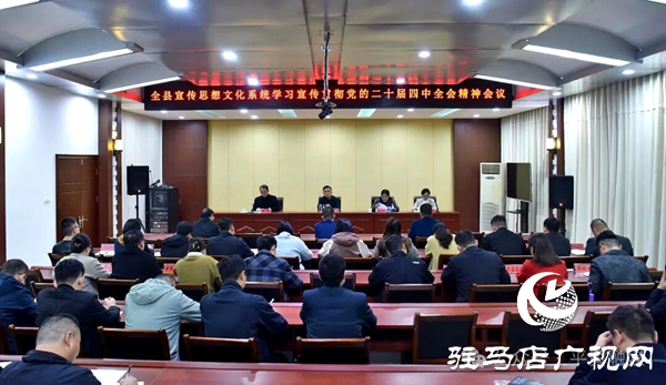 平舆县宣传思想文化系统学习宣传贯彻党的二十届四中全会精神会议召开