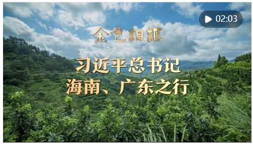 金色相框｜习近平总书记海南、广东之行