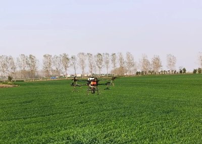 全国冬小麦播种已过六成 冬油菜播种过九成