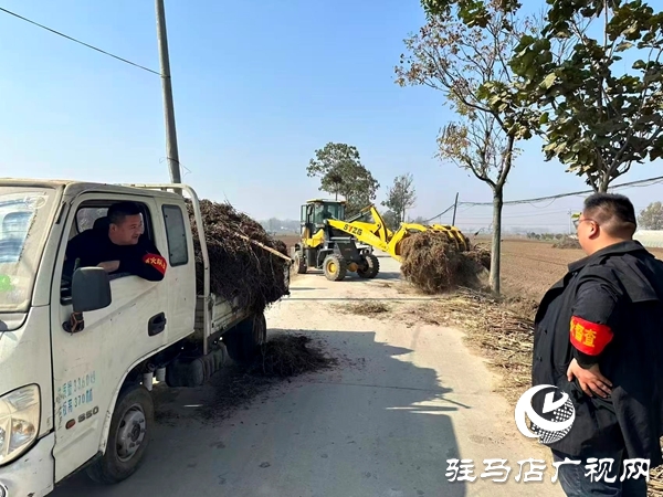 平舆县万金店镇：秋防一线践初心 秸秆“变宝”惠民生
