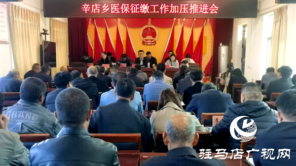 平舆县辛店乡：医保征缴稳推进 群众健康有“医”靠