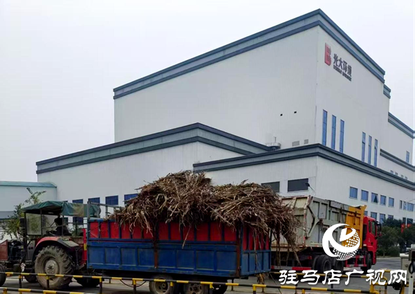 平舆县万金店镇：秋防一线践初心 秸秆“变宝”惠民生