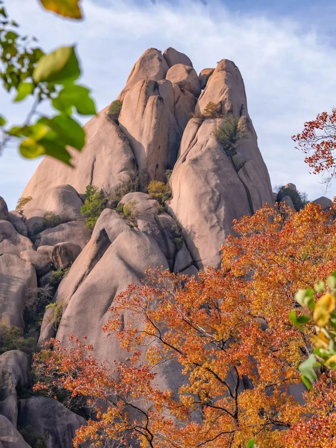 重磅!驻马店秋日美景强势上榜微博旅游推荐,这份赏秋指南请收好!