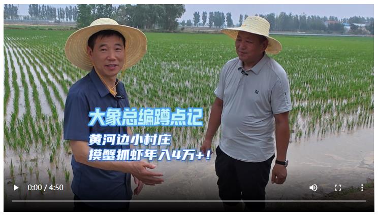 大象总编蹲点记│黄河边小村庄 摸蟹抓虾年入4万+！