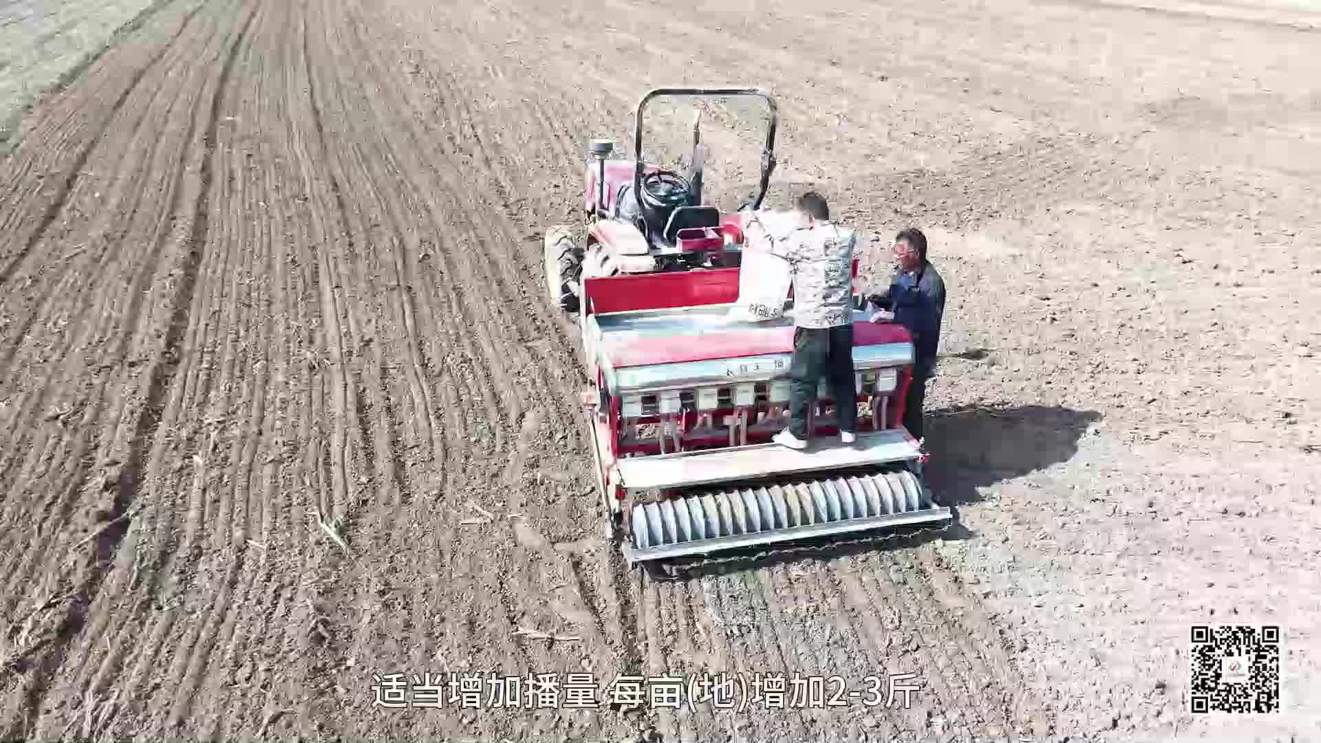 秋播进行时 科学分类指导保障小麦适墒播种