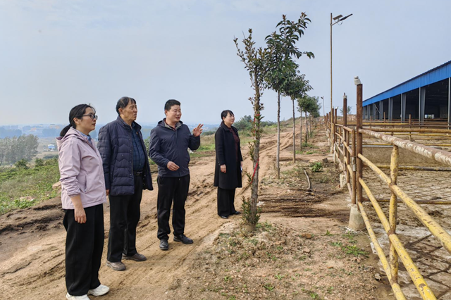 侯娜：多岗履职显担当 科技服务促振兴​