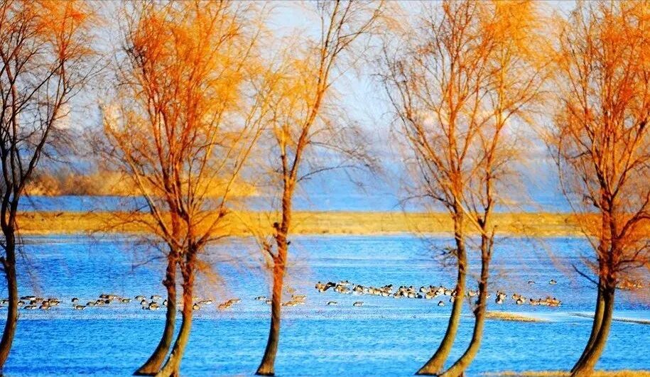 重磅!驻马店秋日美景强势上榜微博旅游推荐,这份赏秋指南请收好!