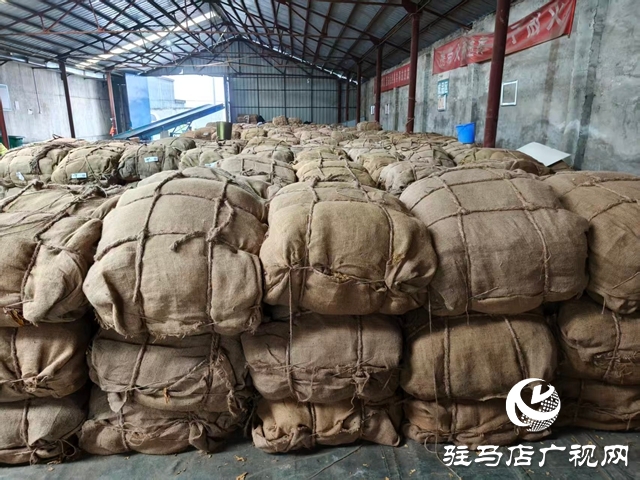 泌阳县郭集镇:圆满完成2025年烟叶收购工作