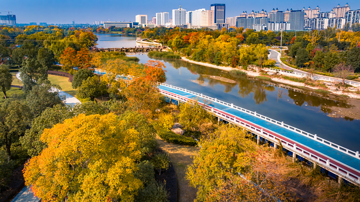 锦绣斑斓醉秋光