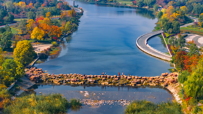 锦绣斑斓醉秋光