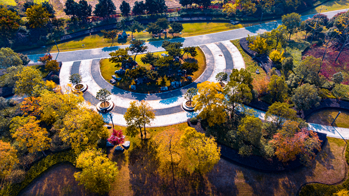 锦绣斑斓醉秋光