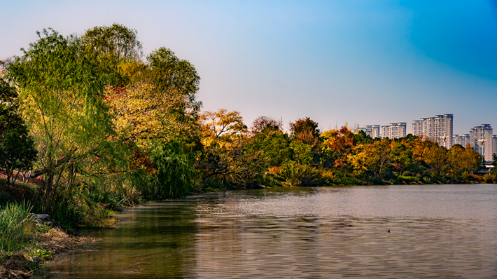 锦绣斑斓醉秋光
