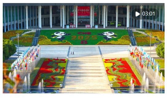 从“东方之约”到“世界机遇”：高水平开放的进博实践