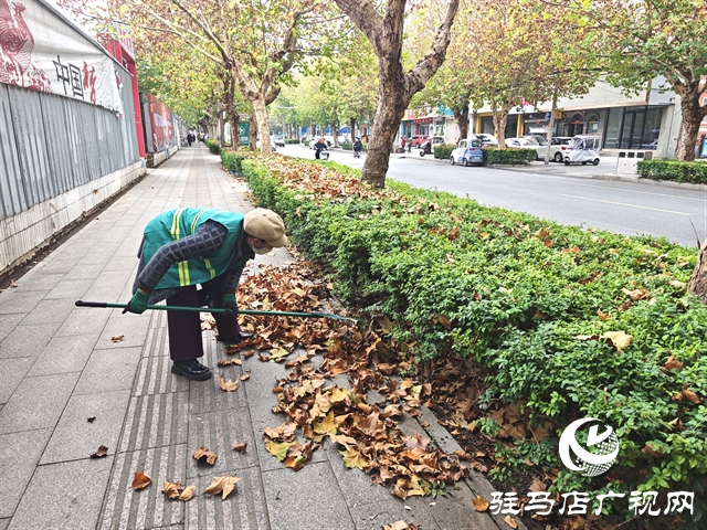  开发区城市管理事务中心：全力清掏落叶 筑牢冬季“安全防火墙”