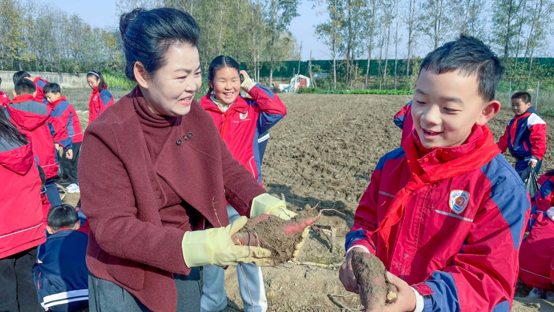  驻马店实验小学：田间挖薯趣无穷 劳动实践乐融融