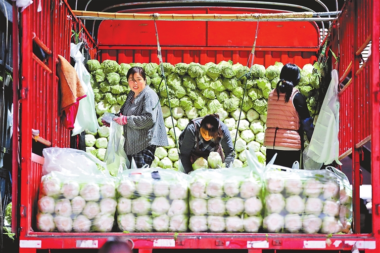 菜价走高 如何稳住“菜篮子”