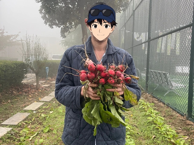 探寻健康新路径：田园疗法带来身心治愈