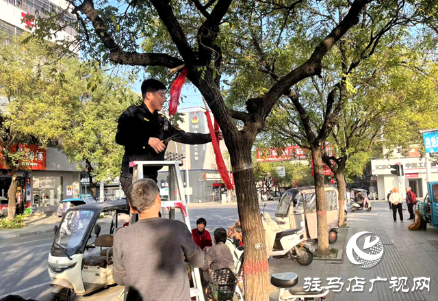 确山：用绣花功夫管好城市