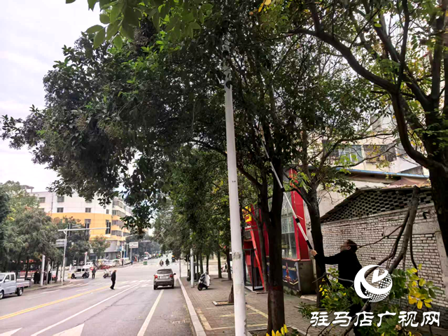 确山县住建局:”接诉即办”剪除隐患