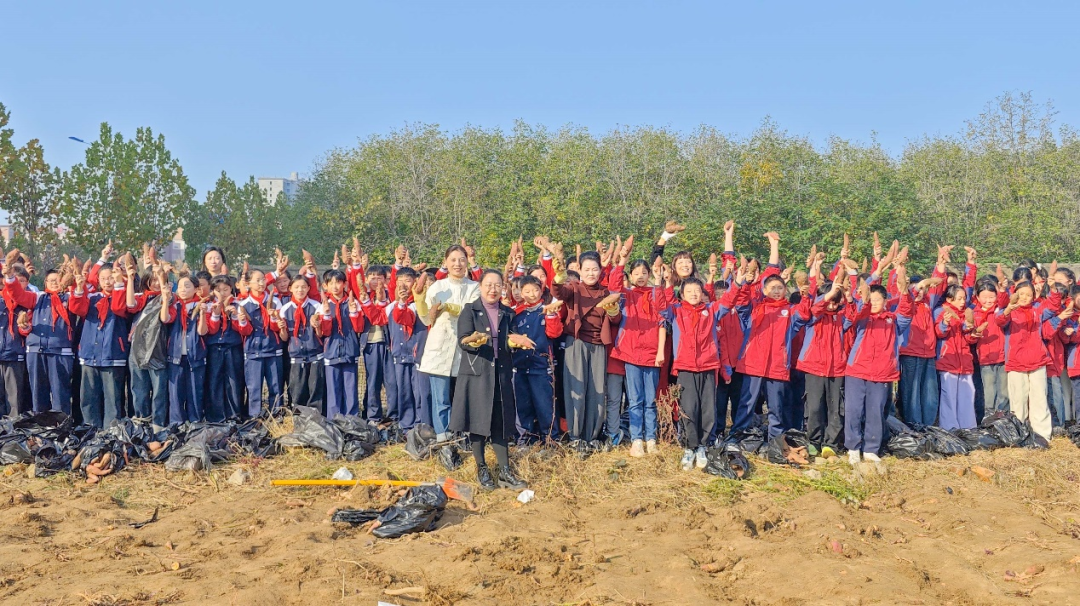  驻马店实验小学：田间挖薯趣无穷 劳动实践乐融融